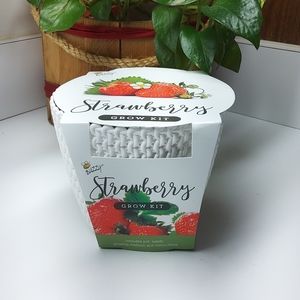 Buzzy Brand Stawberry Complete Grow Kit Pot Seeds Growing Medium Instructions